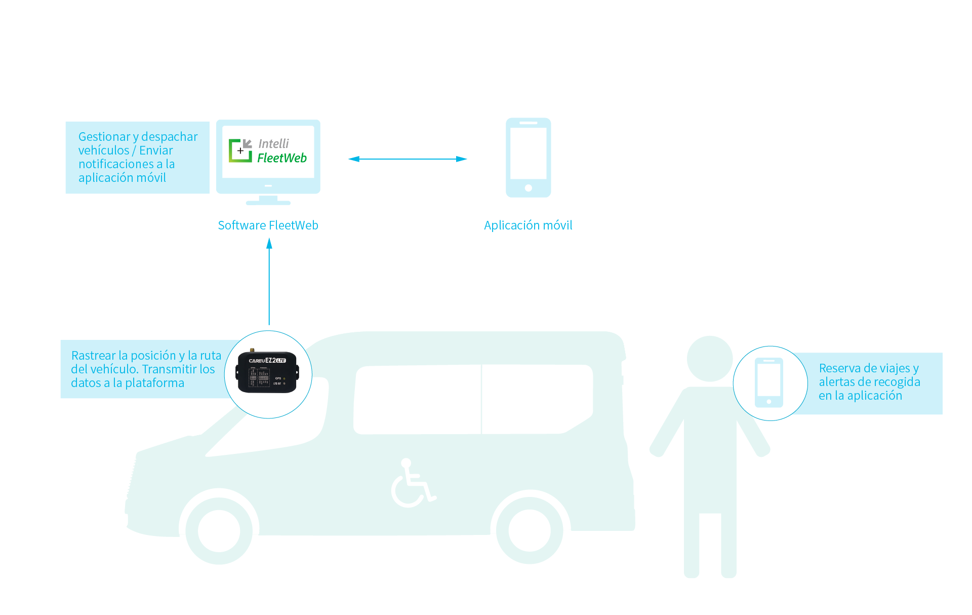 Imagen de topología